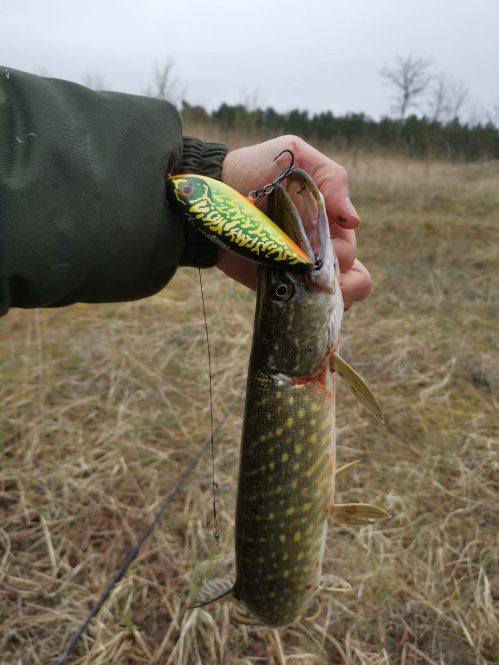 Pikemagnet 110 - Firebelly Pike