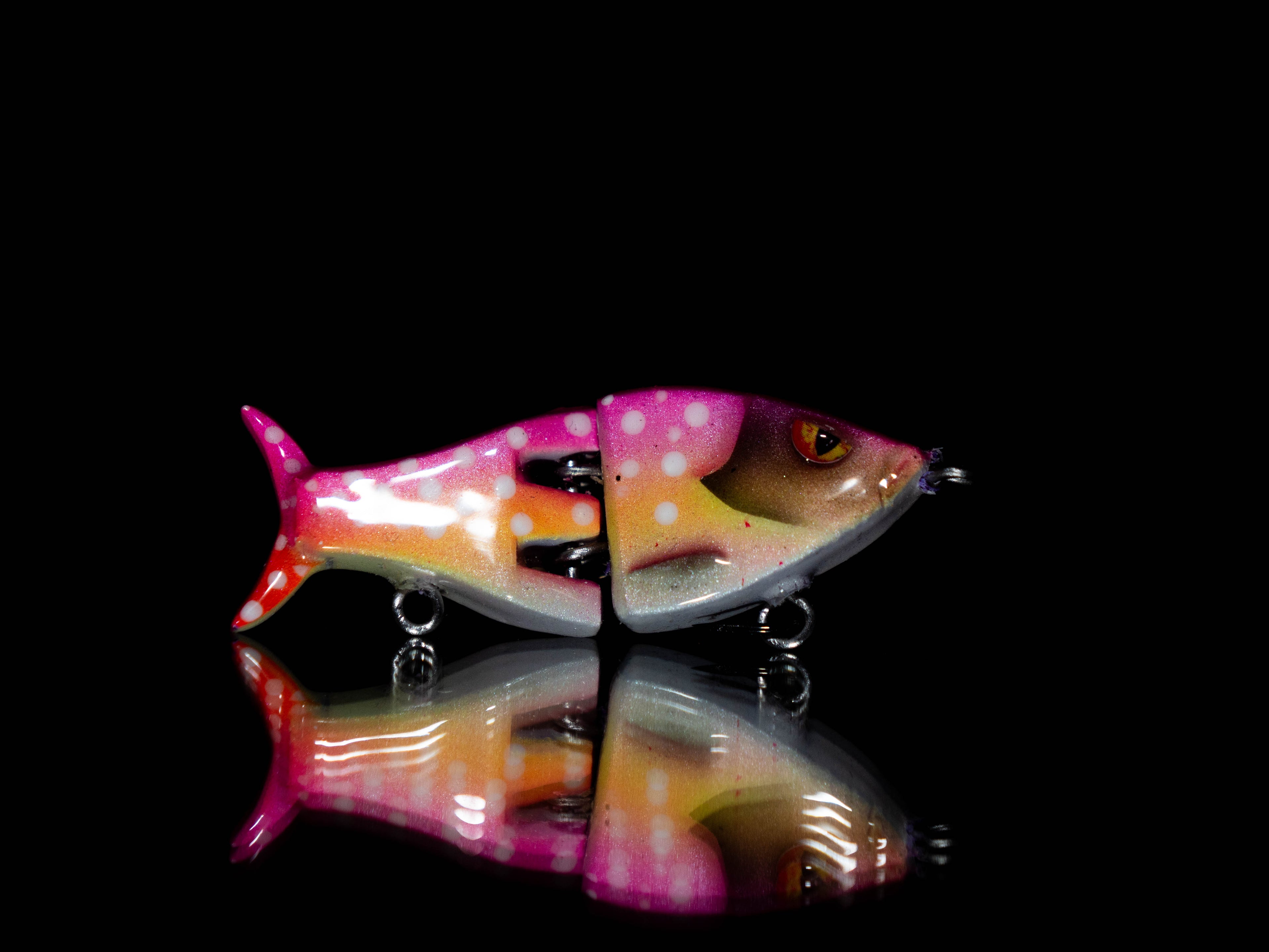 PredX50 - Cherry Trout / LIMITED EDITION