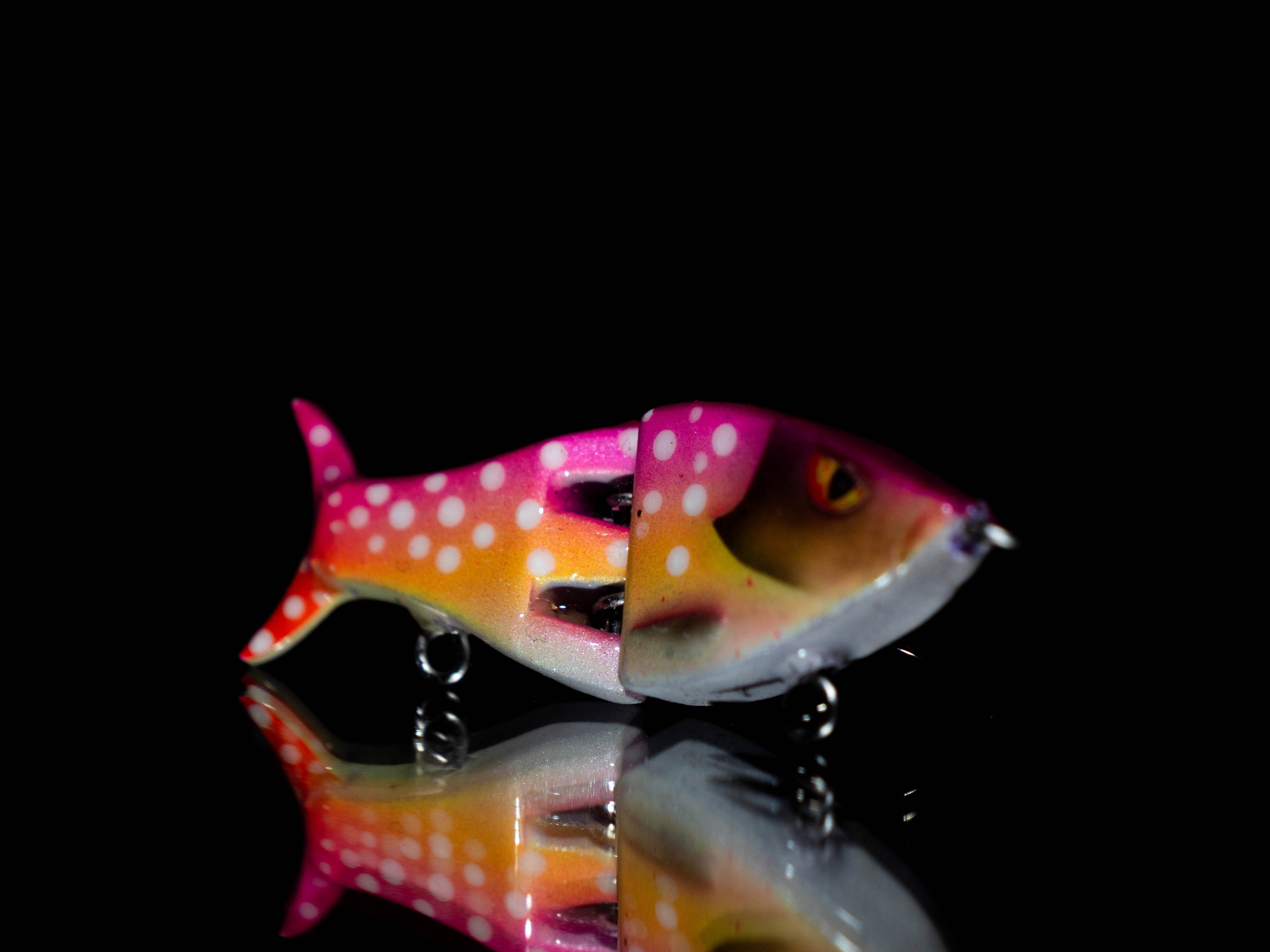 PredX50 - Cherry Trout / LIMITED EDITION