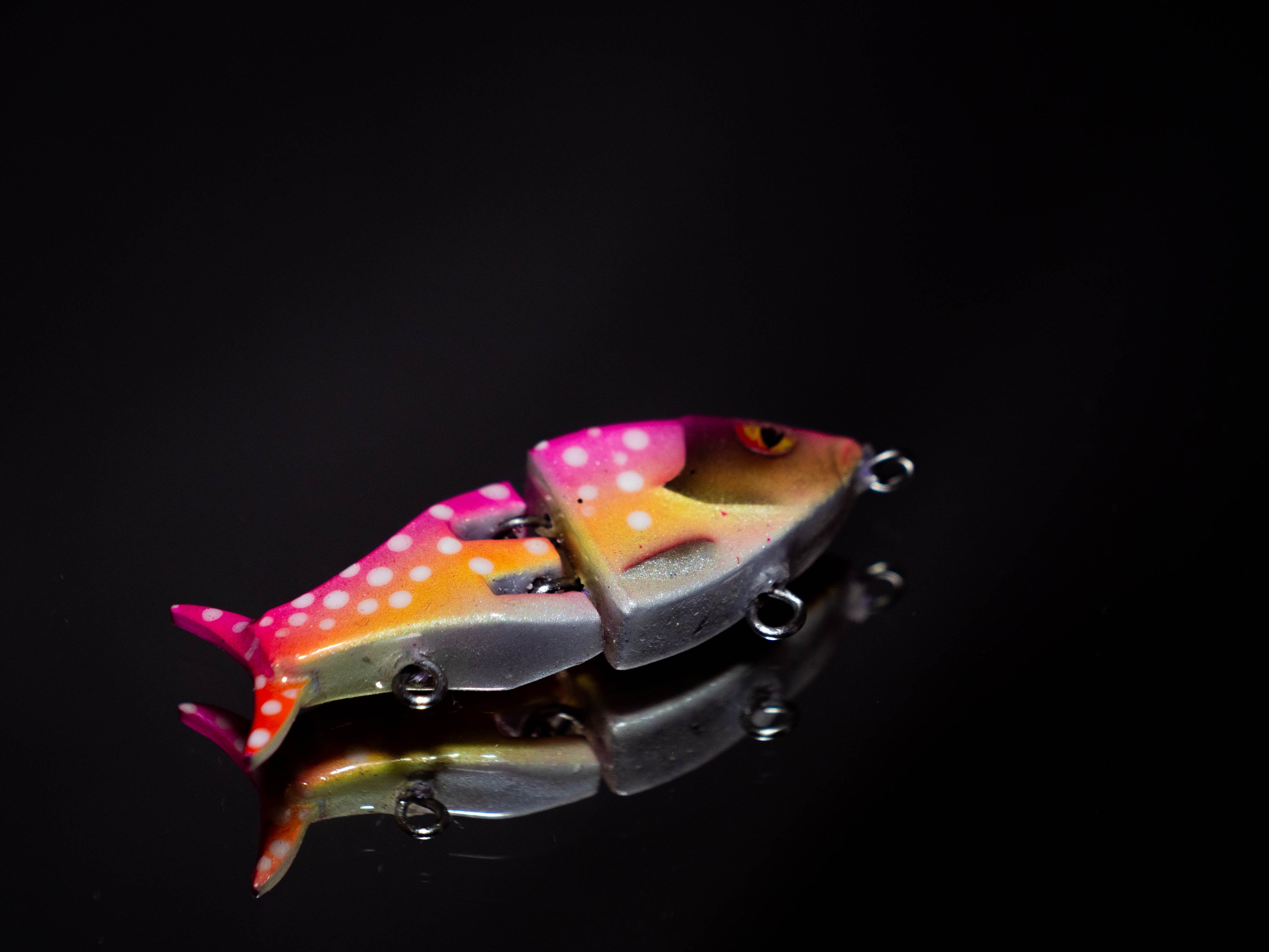 PredX50 - Cherry Trout / LIMITED EDITION