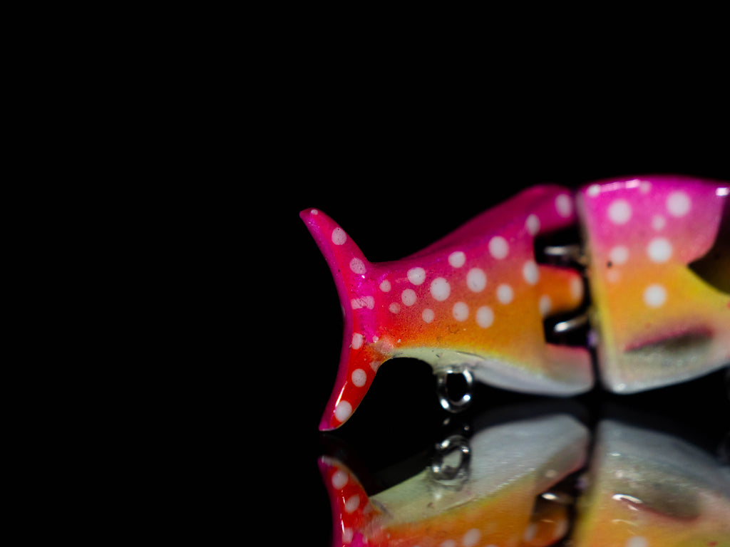 PredX50 - Cherry Trout / LIMITED EDITION
