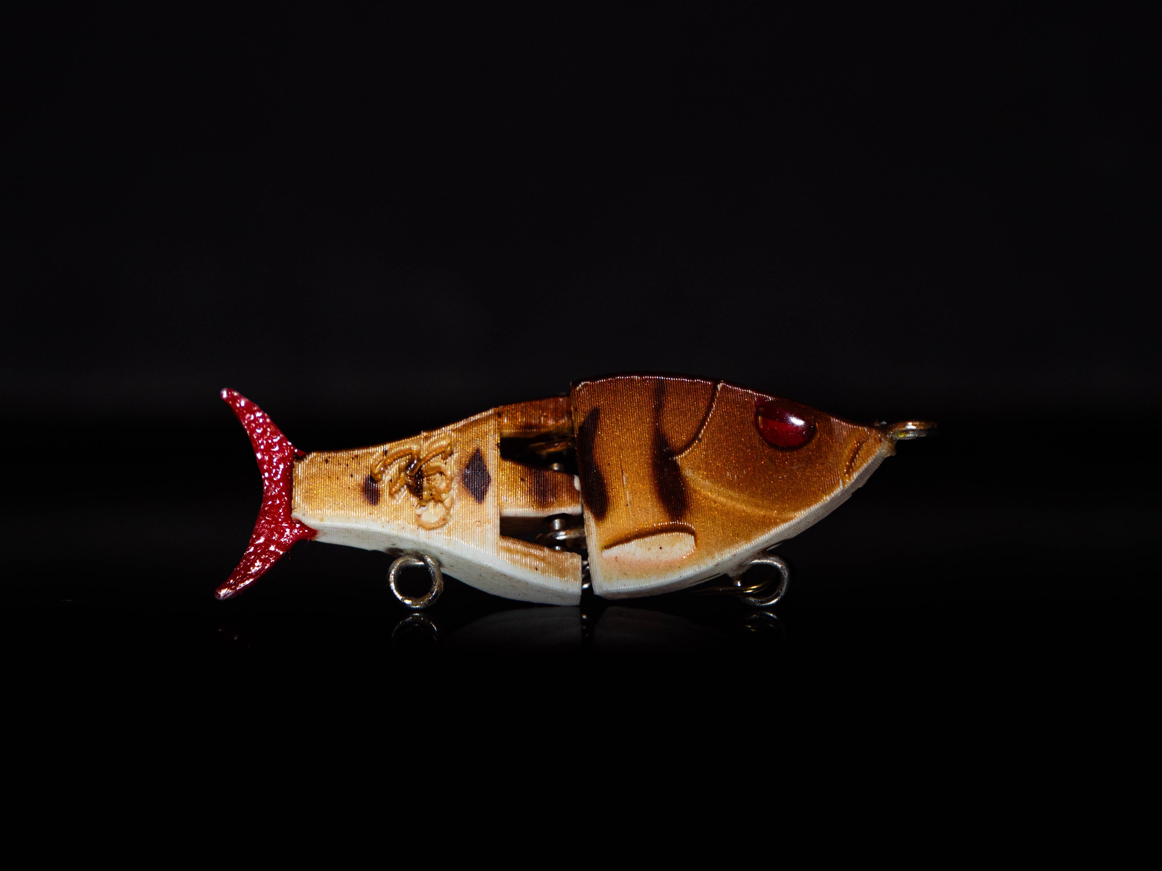 PredX50 - Gold Bandit / LIMITED EDITION