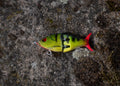 PredX50 - Natural Perch